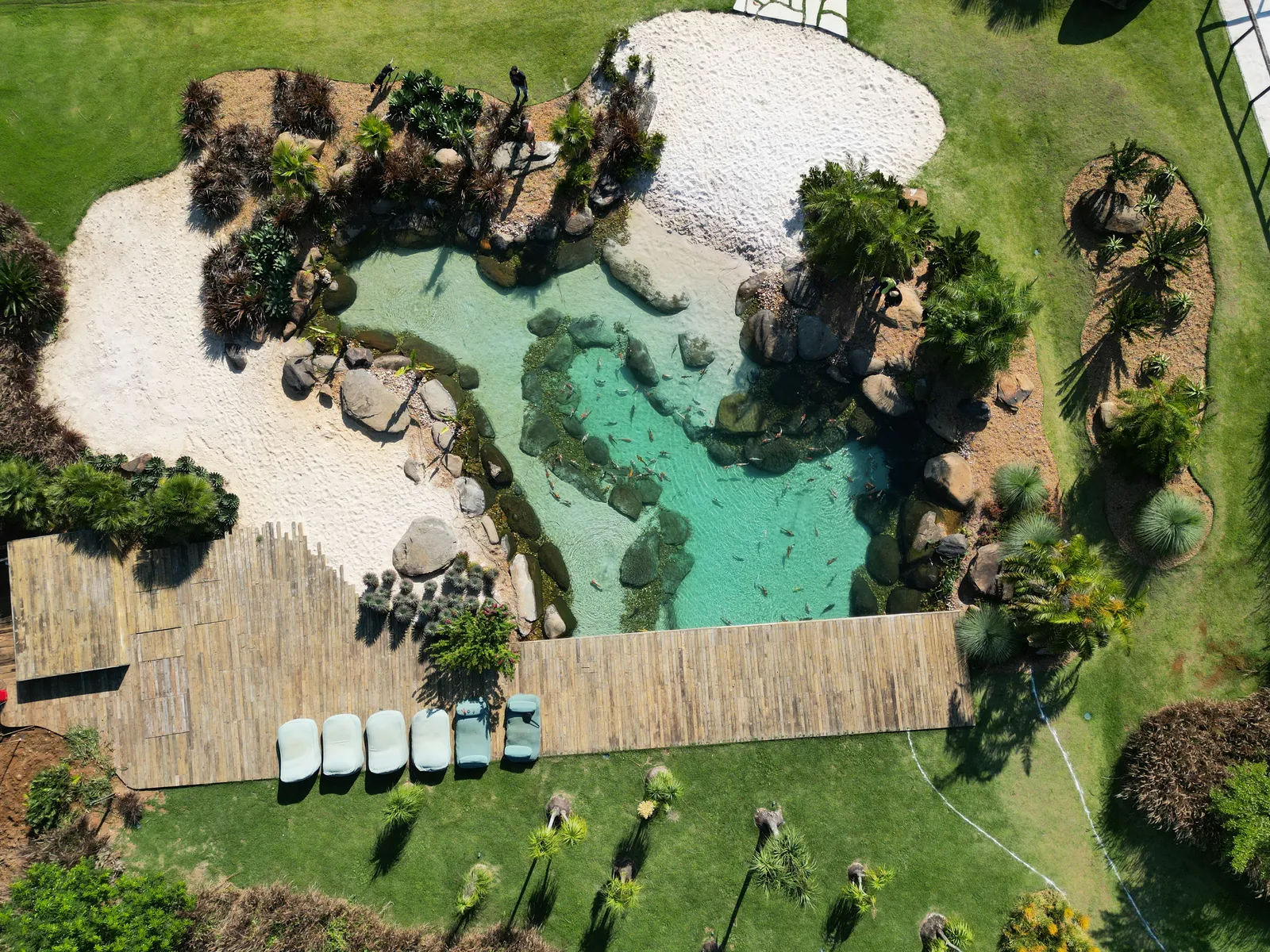 Foto de dron de una piscina playa en Brasil, con arena blanca, piedras, agua cristalina con carpas y un deck de madera sobre el césped