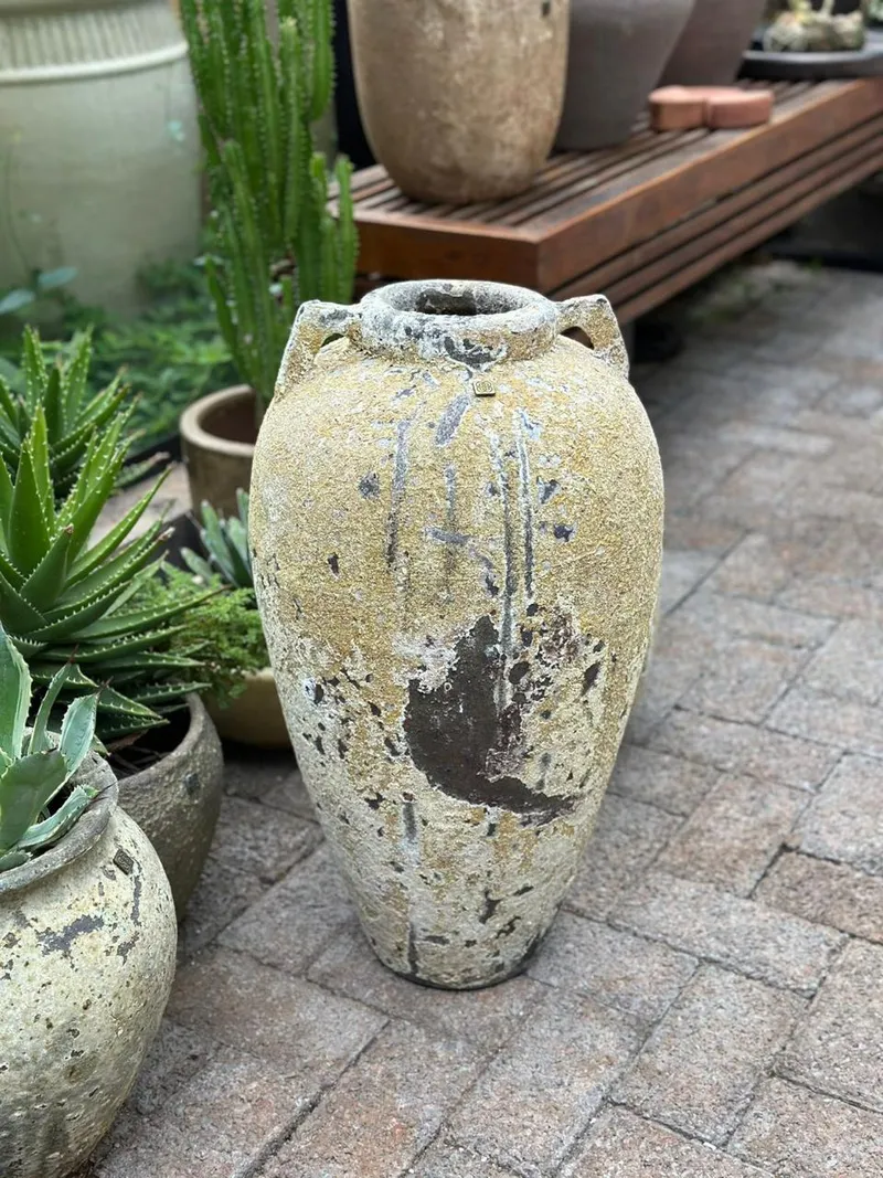 Tinaja de arcilla clara con asas pequeñas entre plantas en macetas en un patio pavimentado