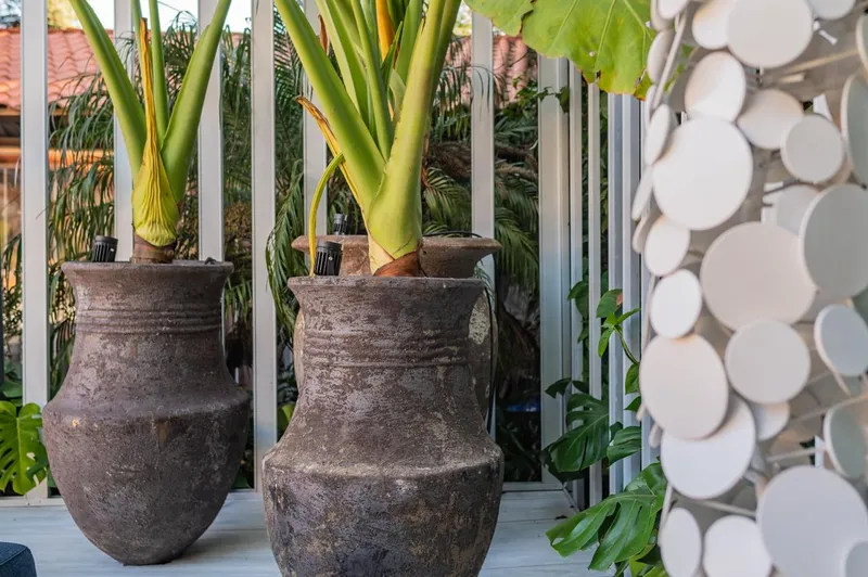 Dos tinajas de arcilla oscura con plantas en una terraza cubierta