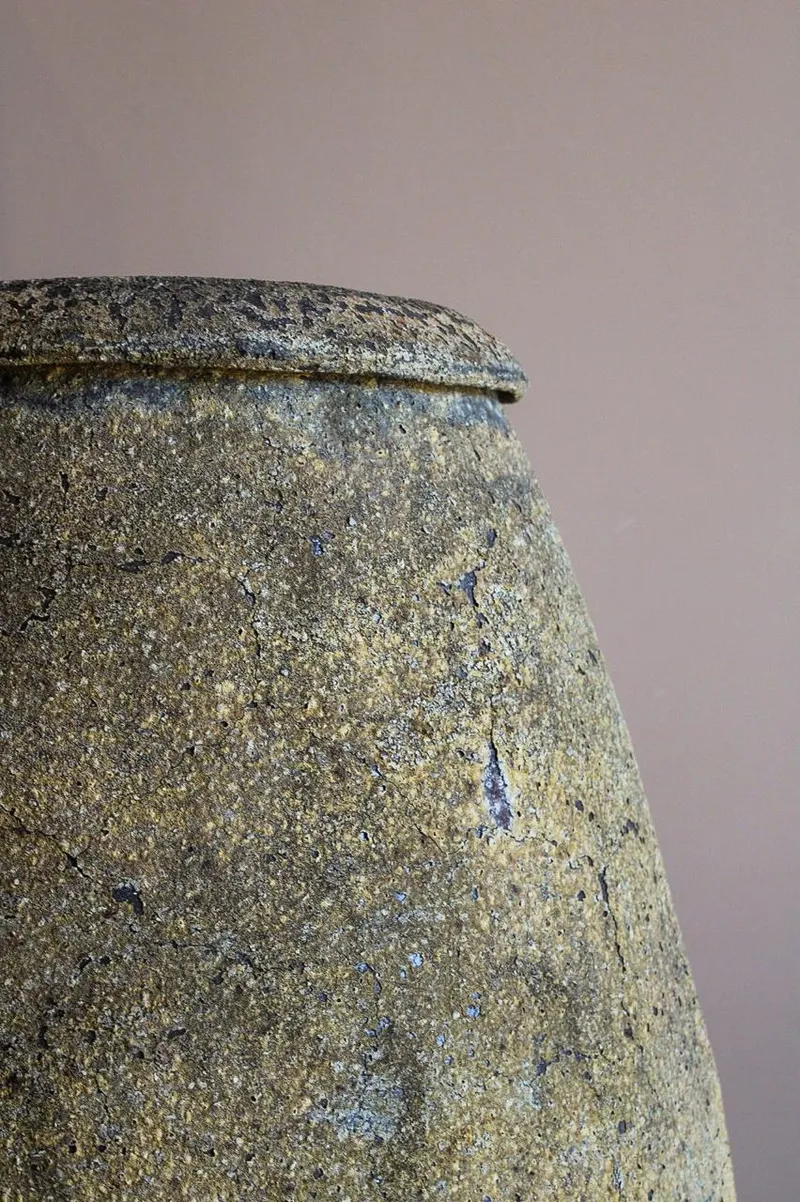 Detalle del borde y de la superficie mineral de una tinaja de arcilla